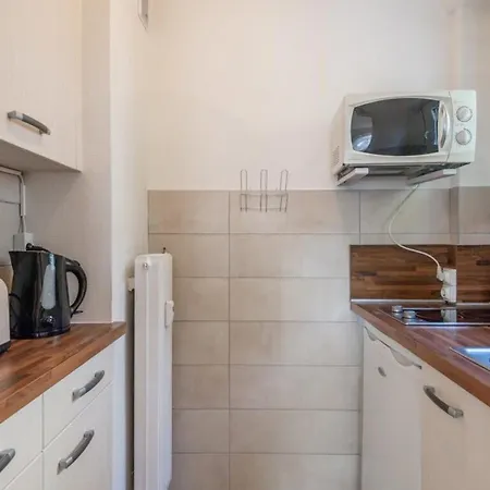 Parmelan Furnished Flat Annecy