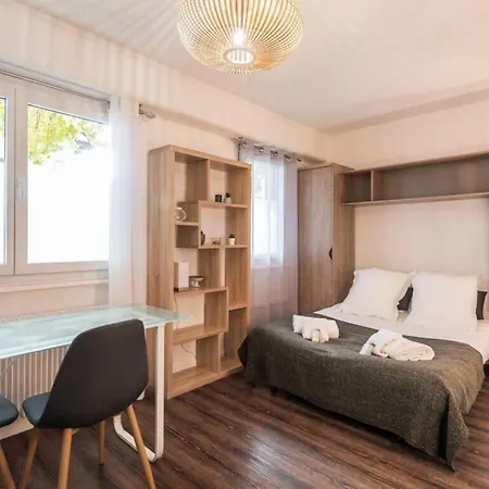 Parmelan Furnished Flat Apartment Annecy